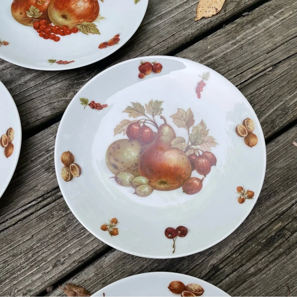 Five Vintage Bavaria Fruit Plates White Porcelain Debra Germany - Set of 5